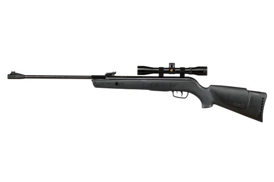 Carabine à air comprimé Gamo Big Cat 1000 4,5mm set