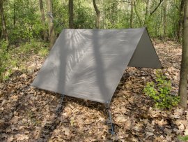 Abri touristique MFH 200x300 cm vert