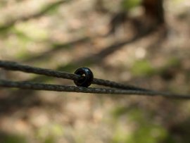 Ensemble de hamacs suspendus Lesovik Smuk noir