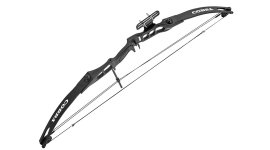 Arc Perfect Line Cobra à poulies 55lb noir