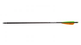 Flèche carbone Savage 20"