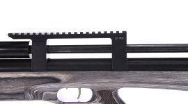 Carabine à air comprimé Taipan Veteran Standart 5,5mm Laminate