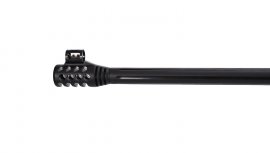 Carabine à air Gamo Carbon Storm 4,5mm
