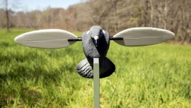 Balabán MOJO Pigeon - Pigeon