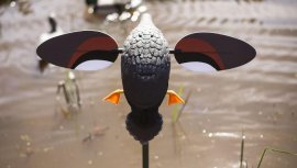 Balabán MOJO Gadwall - Canard Kopřivka
