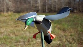 Balabán MOJO Wind Duck Mallard - Canard colvert sauvage à vent