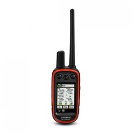 Localisateur GPS Garmin Alpha 100 + collier T5 Mini