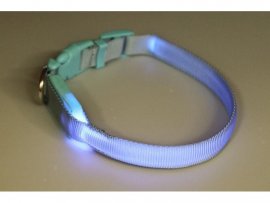 Collier lumineux pour chien 28-38cm