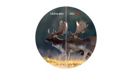 Jumelles Delta Optical Chase 12x50 ED