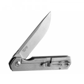 Couteau pliant Ganzo Firebird FH12-SS