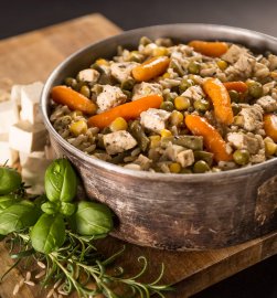 Rizotto de légumes avec tofu Adventure Menu