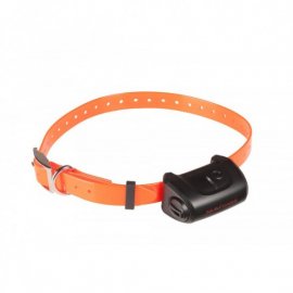 Collier d'entraînement Canicom 5.800