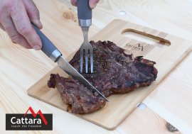 Couverts pour grillades et steaks SHARK