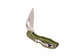 Couteau pliant Ganzo Firebird F759M vert