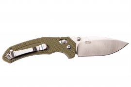 Couteau pliant Ganzo Firebird F7611 vert
