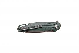 Couteau pliant Ganzo Firebird FH21 vert