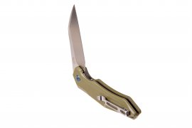 Couteau pliant Ganzo Firebird FH31-GB