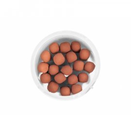 Amorces de survie Woloszyn 20 pcs
