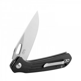 Couteau de fermeture Ganzo Firebird FH921 noir