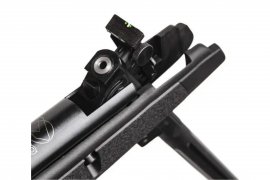 Carabine à air comprimé Gamo Black Bear 4,5mm - 20J