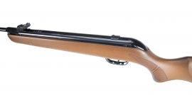 Carabine à air comprimé Gamo Big Cat Hunter 5,5mm - 21J