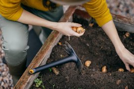 Petit balai Fiskars Solid