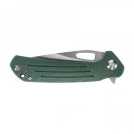 Couteau pliant Ganzo Firebird FH921 vert