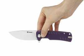 Ganzo G769-BK couteau de fermeture