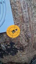 Avis : H&N Heavy Slug 6.35mm/.250 2.72g/42gr - 1