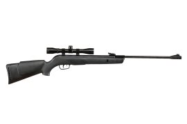 Carabine à air comprimé Gamo Big Cat 1000 4,5mm set 2