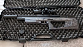 Avis : Carabine à air comprimé Taipan Veteran II 550mm 6,35mm Laminate Grey - 1