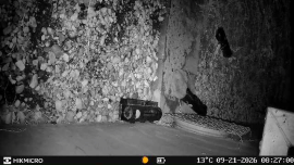 Avis : Piège photographique HIKMICRO T16 - 1