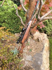 Avis : Carabine à air comprimé Cometa Fenix 400 Star 6,35mm - 27J - 1