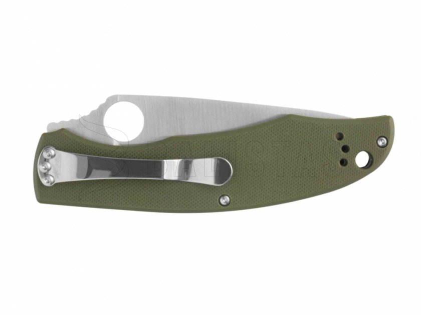Couteau pliant Ganzo G732-GR