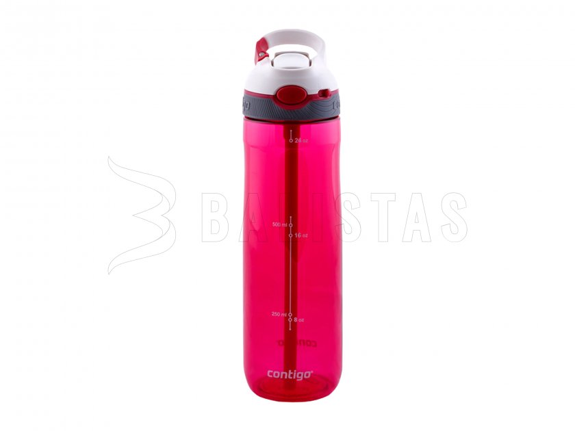 Bouteille Contigo Ashland 0,72 l violet