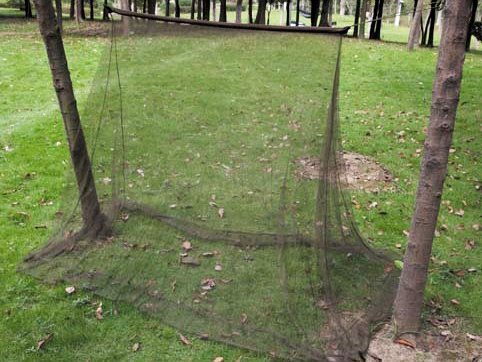 Moustiquaire de camping MFH verte 2x1 5x1 m