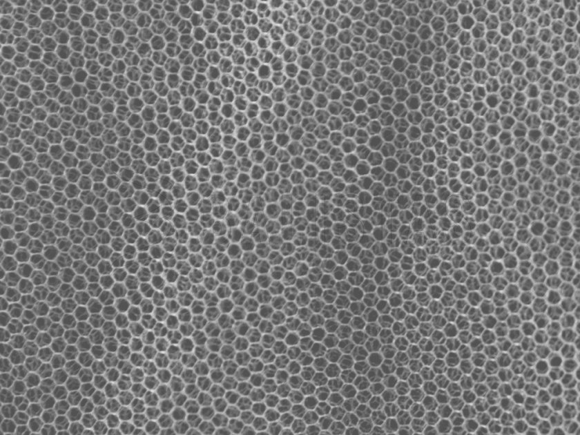 Moustiquaire MFH petite blanche 0,63x2x8 m