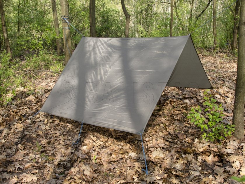 Abri touristique MFH 200x300 cm vert