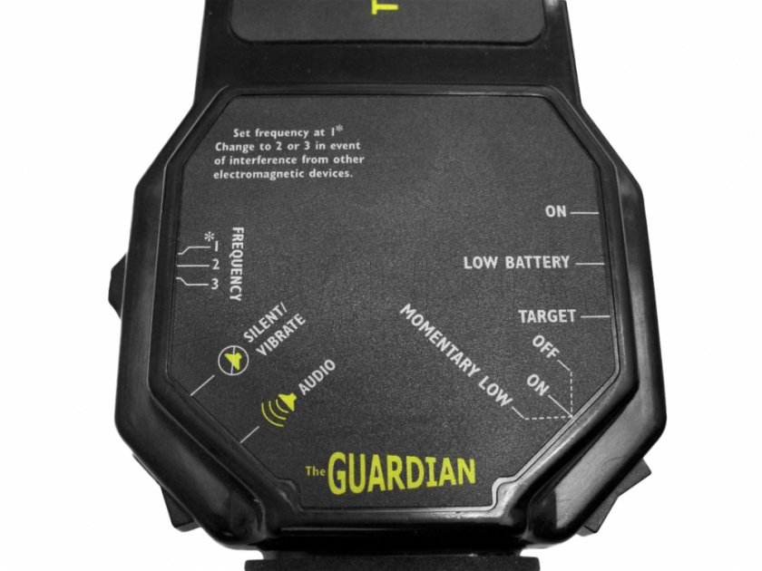 Détecteur de métaux portable Bounty Hunter Guardian