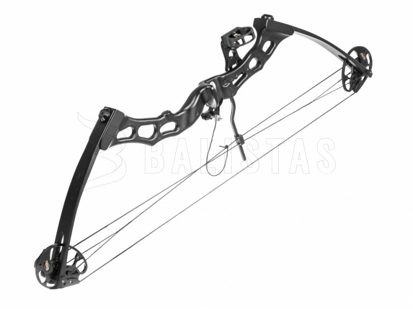 Arc Poe Lang Predator II noir 45-65lbs