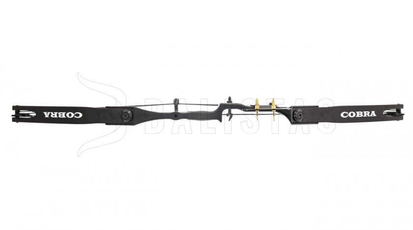 Arc Perfect Line Cobra à poulies 55lb noir