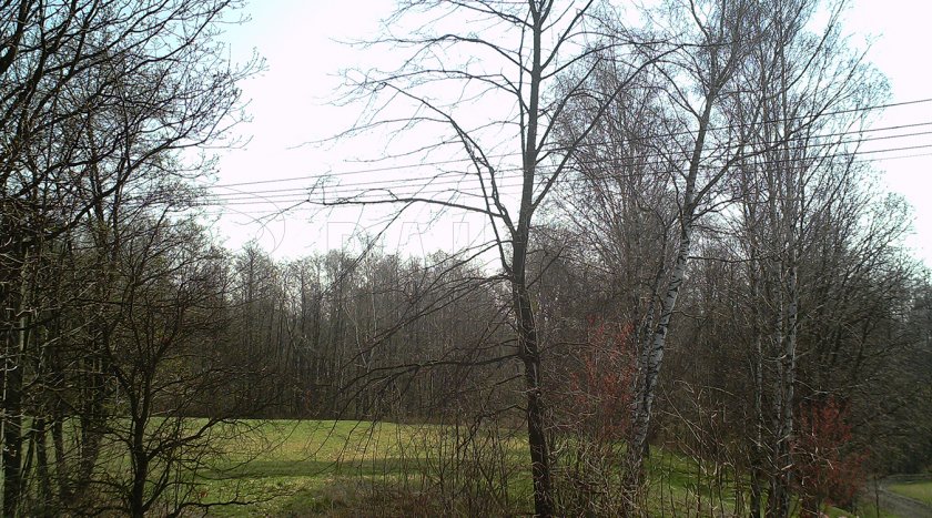 Piège photographique Forestcam Tiny