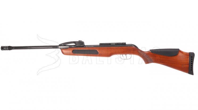 Carabine à air comprimé Gamo Replay 10 SET Bois 4,5mm