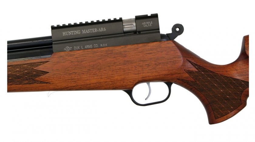 Evanix Hunting Master AR6 5,5mm carabine à air comprimé