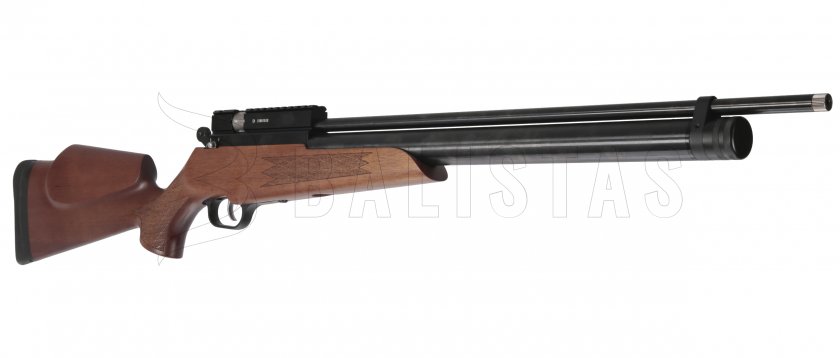 Evanix Hunting Master AR6 5,5mm carabine à air comprimé