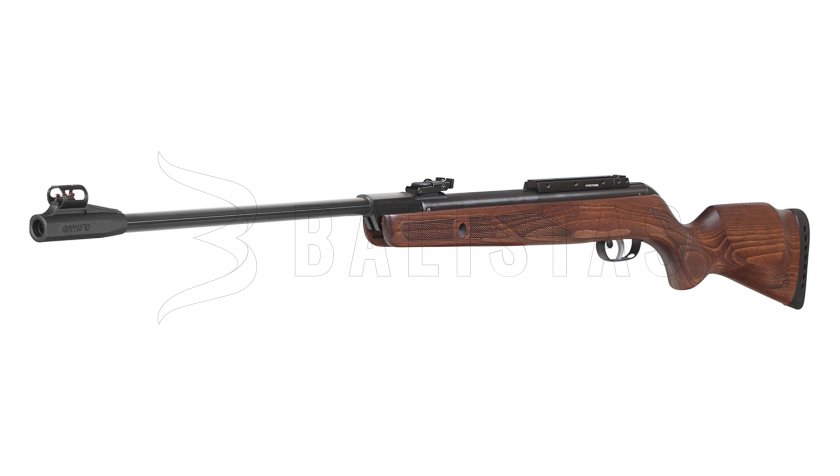 Carabine à air comprimé Gamo Hunter 440 IGT 4,5mm