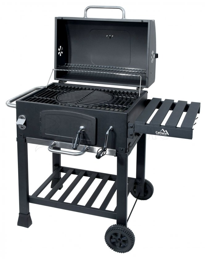 Barbecue au charbon de bois Royal, grille en fonte