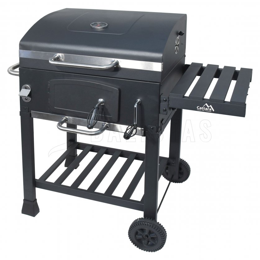 Barbecue au charbon de bois Royal, grille en fonte