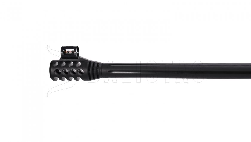 Carabine à air Gamo Carbon Storm 4,5mm