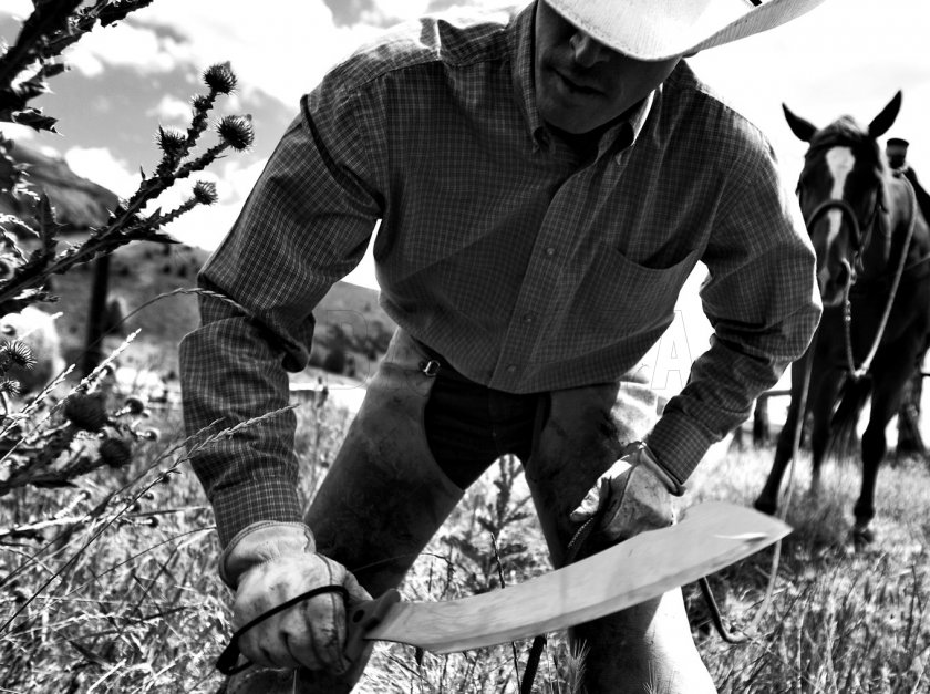 Machette Gerber Broadcut